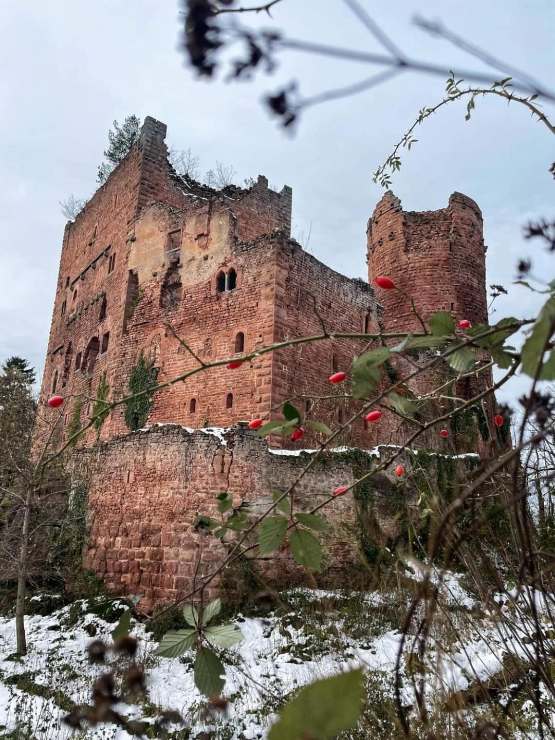 Au Jardin De La Maison Des Soeurs Mutzig Esterno foto